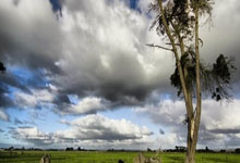 上赛季德甲联赛积分榜有哪些关键看点和变化？